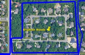 Brighton Woods Subdvision Dyer Indiana Aerial Photo